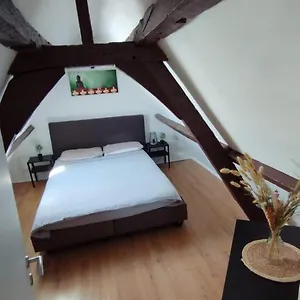 https://the-16th-century-duplex-in-the-city-center.brusselshotelsbook.com